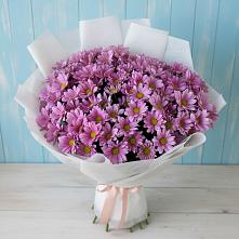 Букет цветов из:  Хризантемы в Гороховце
