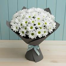 Букет цветов из:  Хризантемы в Гороховце