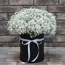 Цветочная композиция из Гипсофила в шляпной коробке в Гороховце