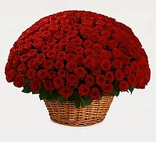 Премиум букет из: Розы #REPLACE_PRED# Гороховце